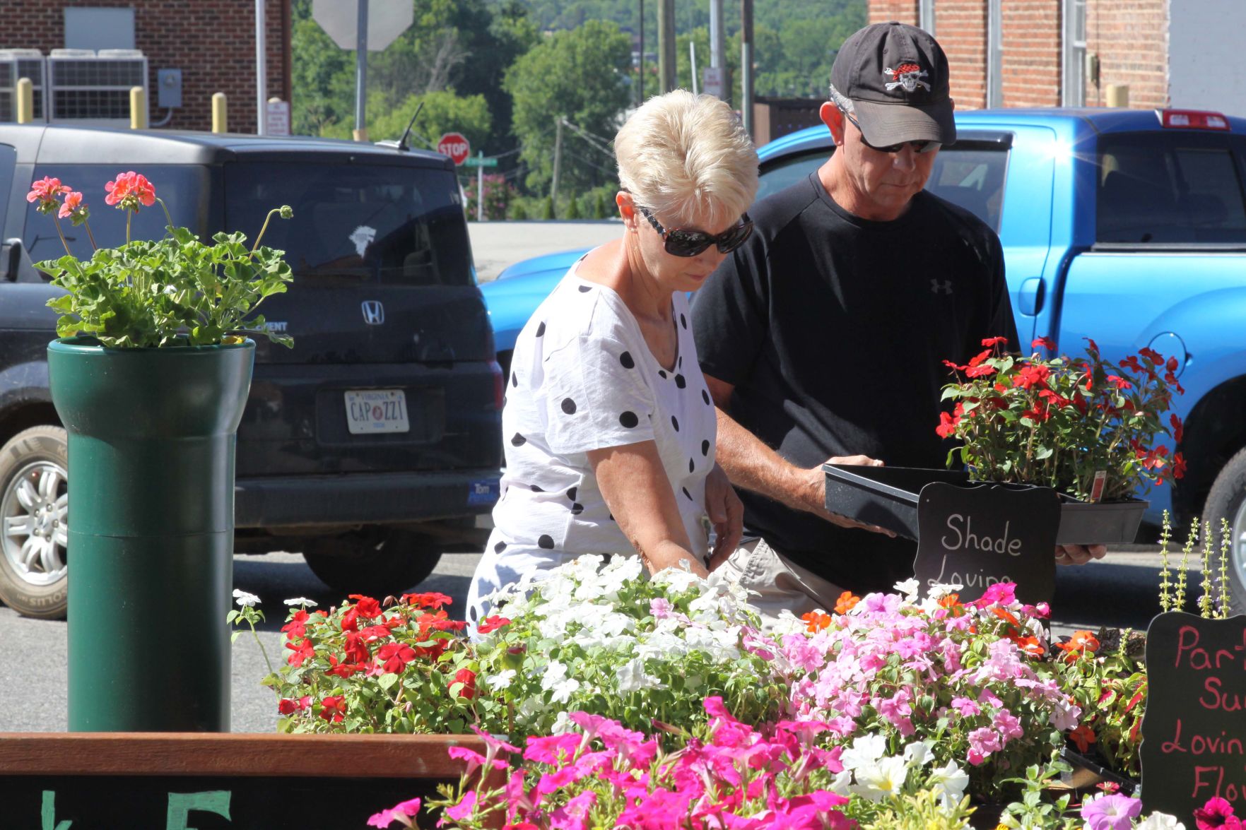 South Boston Farmers Market